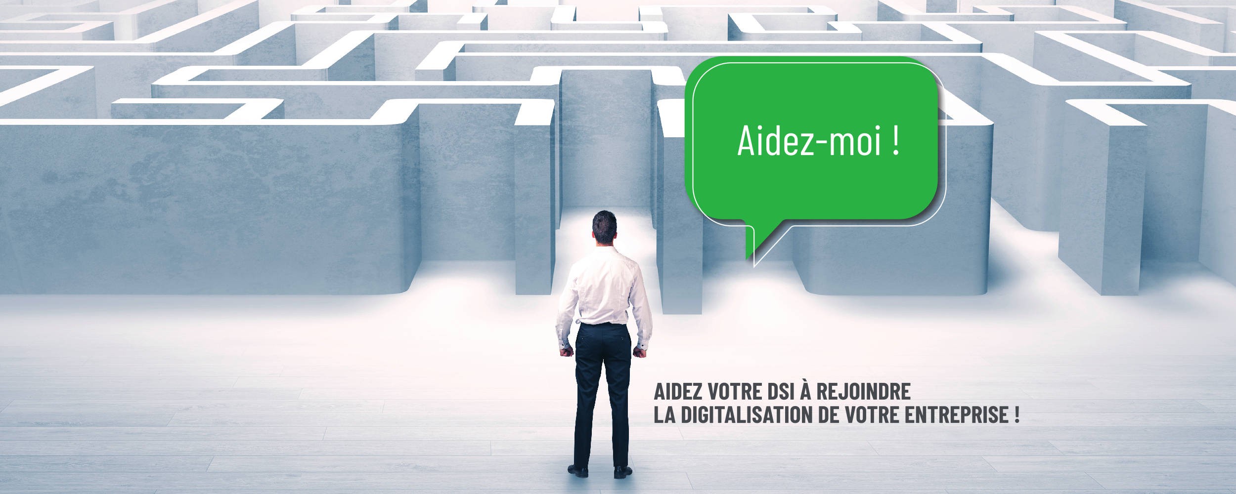 DIGITALISATION DES SYSTÈMES D’INFORMATION : AVEC OU SANS DSI ?
